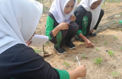 Pembelajaran IPA Berbasis Riset di MTsN 5 Rokan Hulu: Siswa Belajar dari Lingkungan Sekolah